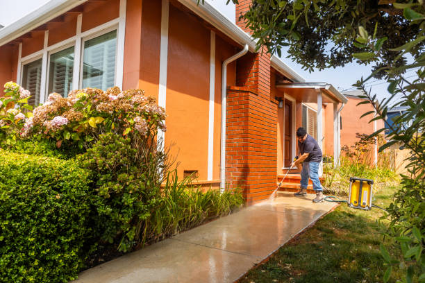 Best Affordable Power Washing  in Lexico, CA